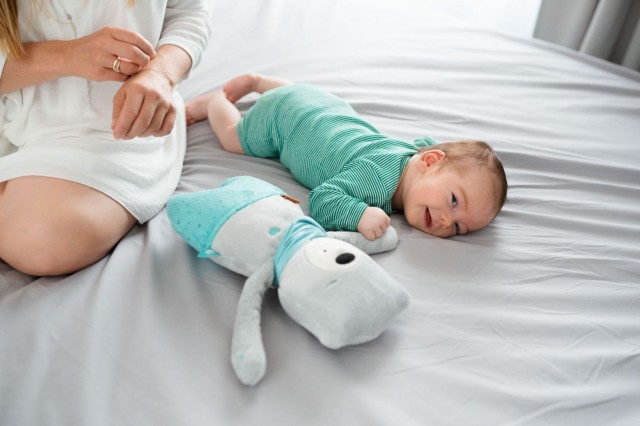 szumis-szumisie-szumiace-misie