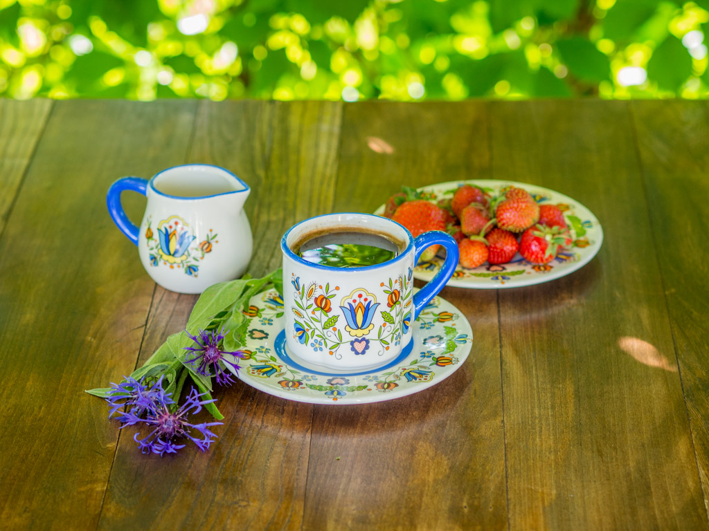 filizanka-porcelanowa-z-podstawką-na-prezent-wzor-kaszubski