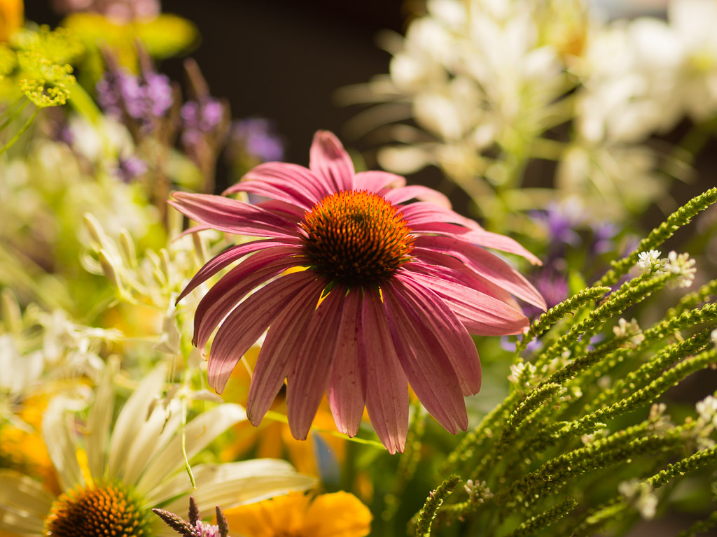 co-kobiety-lubia-dostawac-w-prezencie-kwiaty