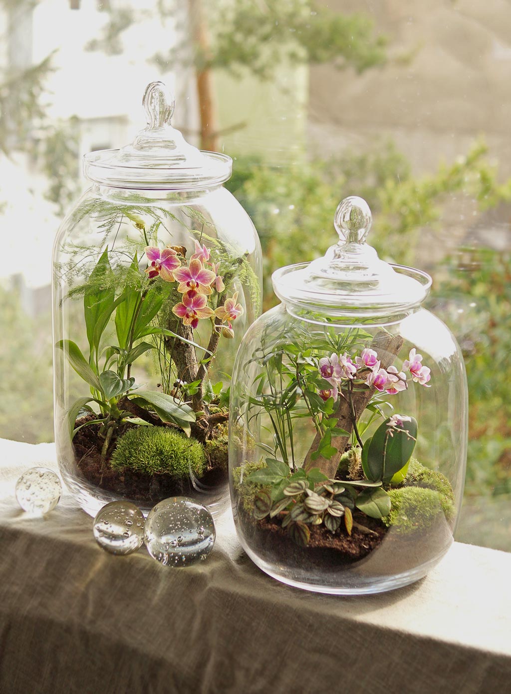 prezent-dla-kobiety-mossarium-dzungla-w-sloju