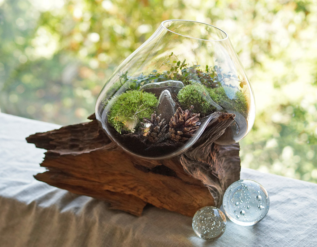 prezent-dla-kobiety-mossarium-na-korzeniu-w-szkle